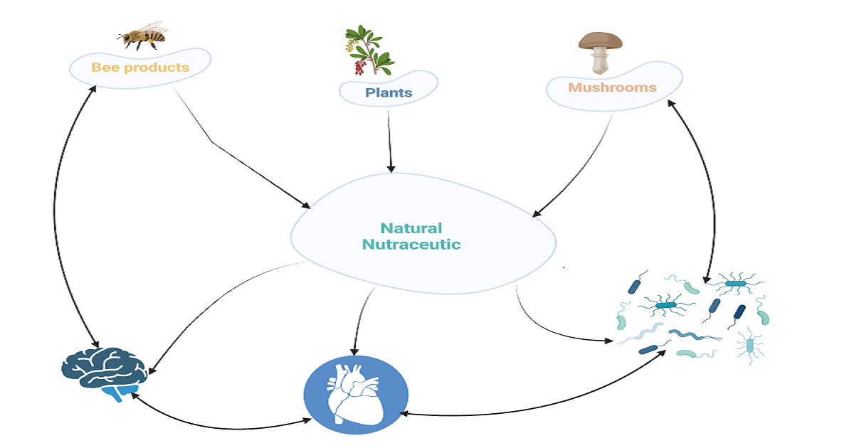 Graphical abstract - BioRender